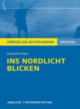 Interpretationshilfe: Ins Nordlicht blicken